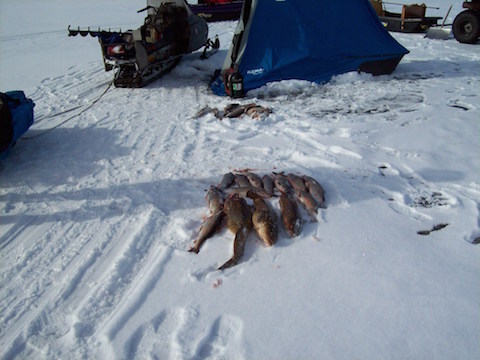 Fish in two piles